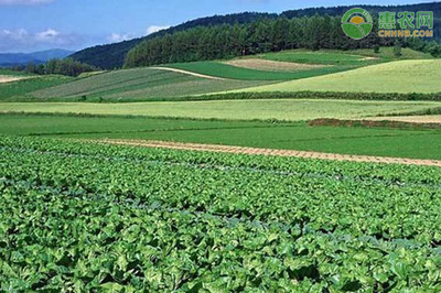 農(nóng)業(yè)信息咨詢公司的經(jīng)營范圍設計與注冊指南